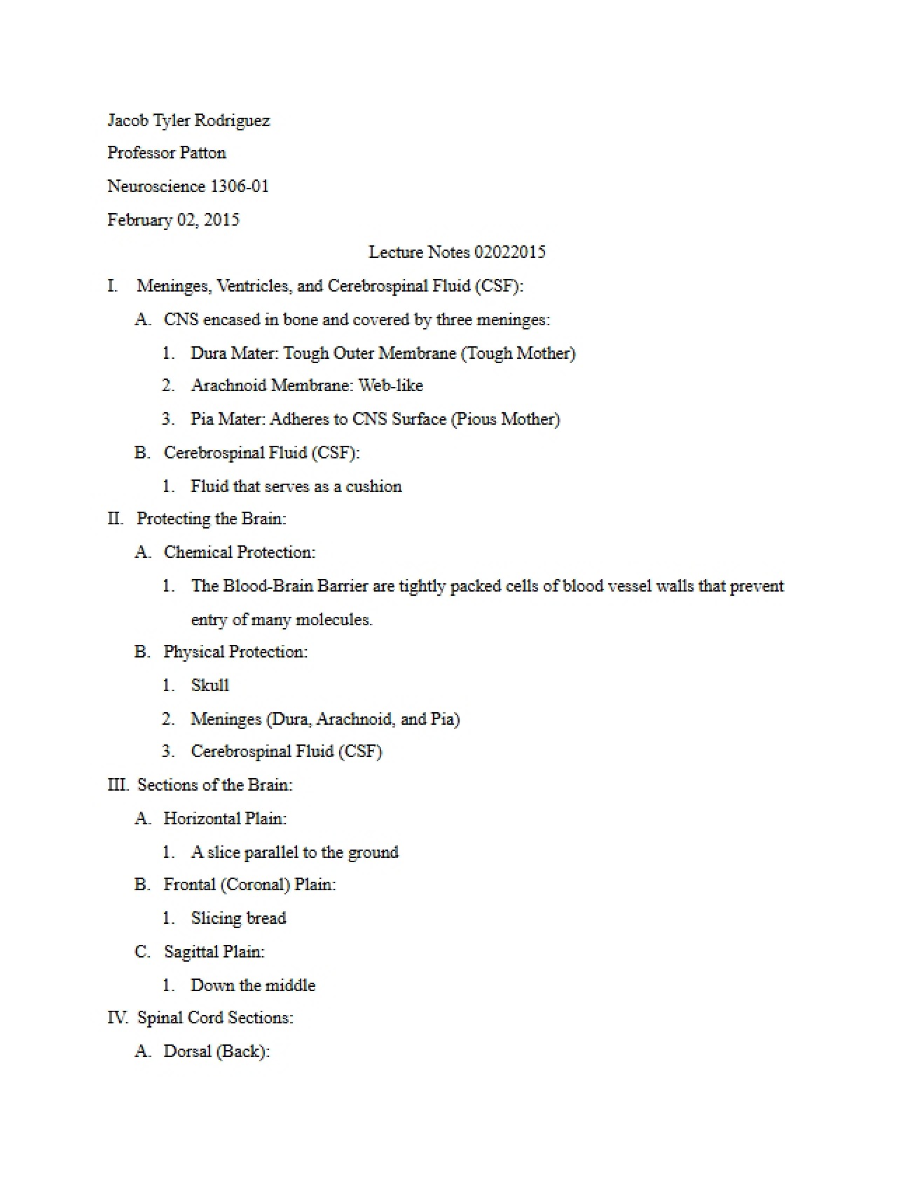 Neuroscience Lecture Notes VIII