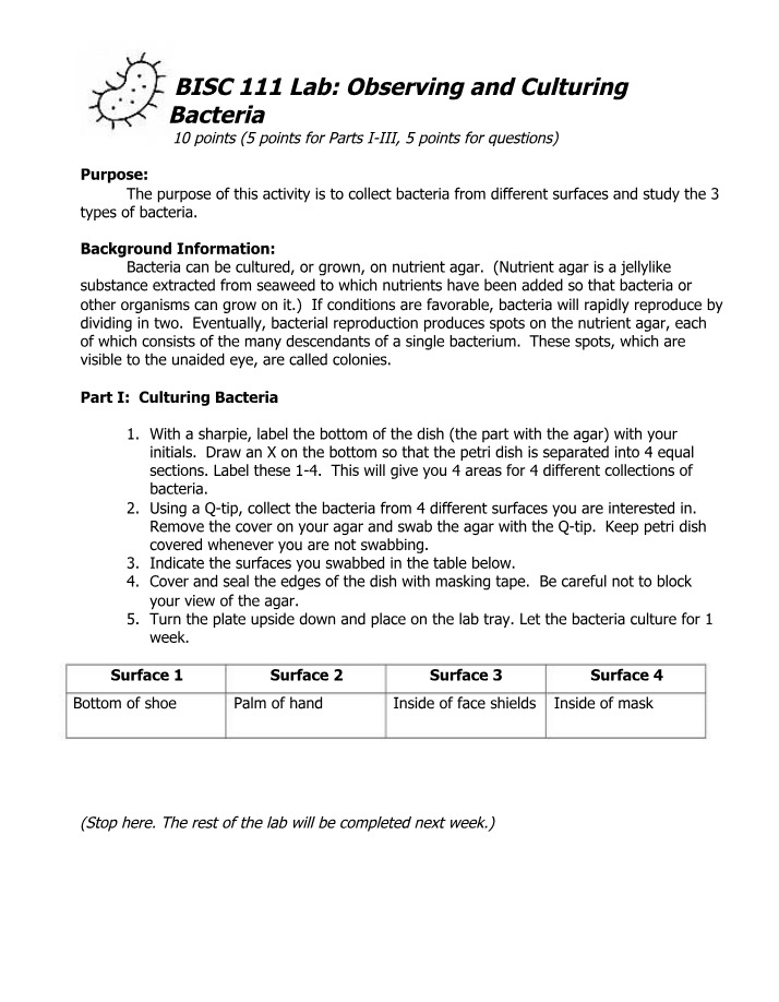 Lab for Bacteria Culture