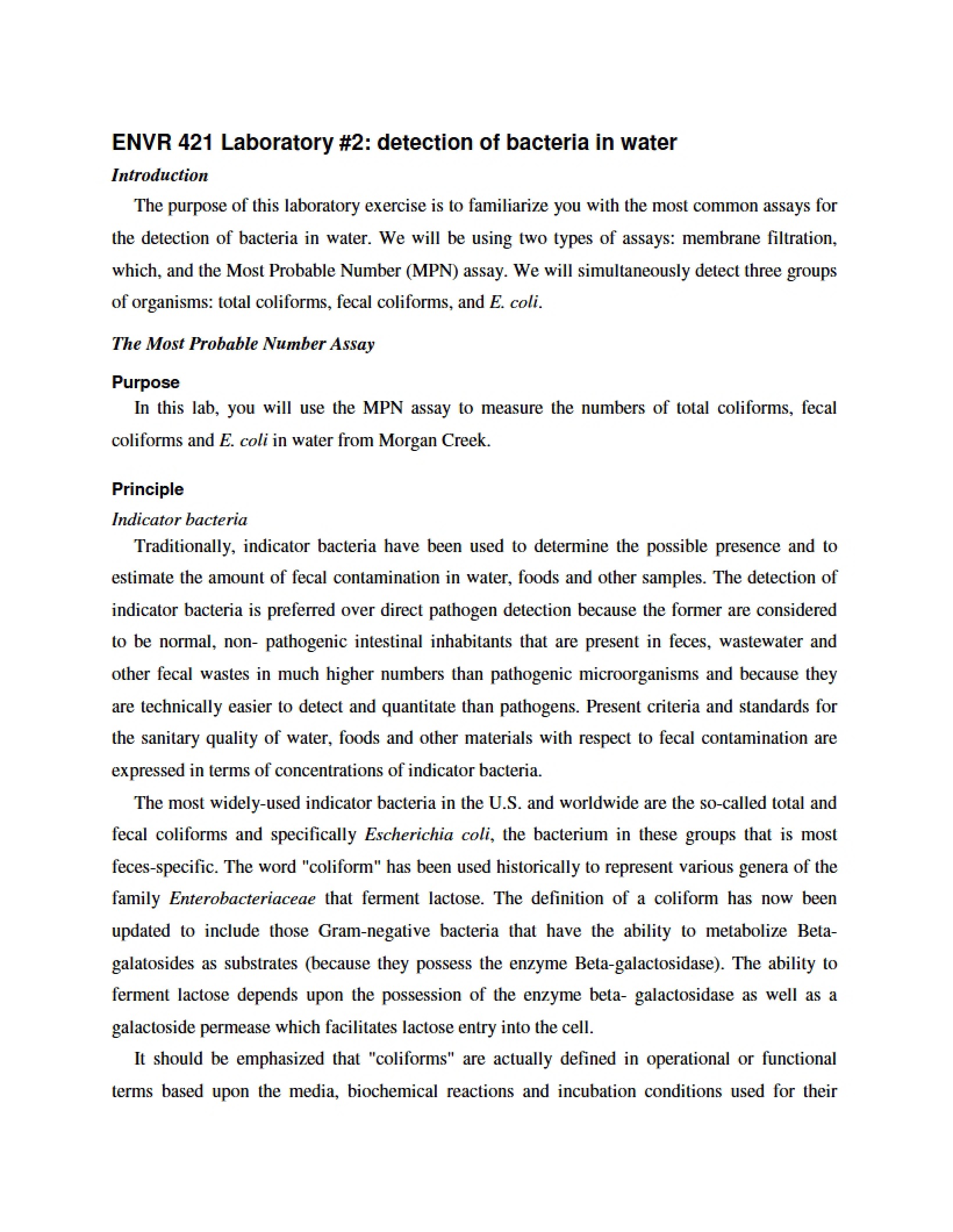 Second Lab Water Bacterial Detection