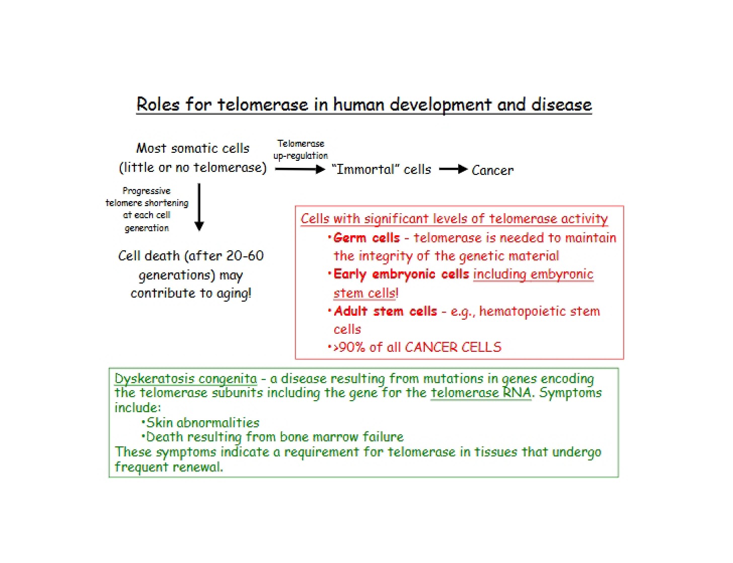 Lecture 15b Notes
