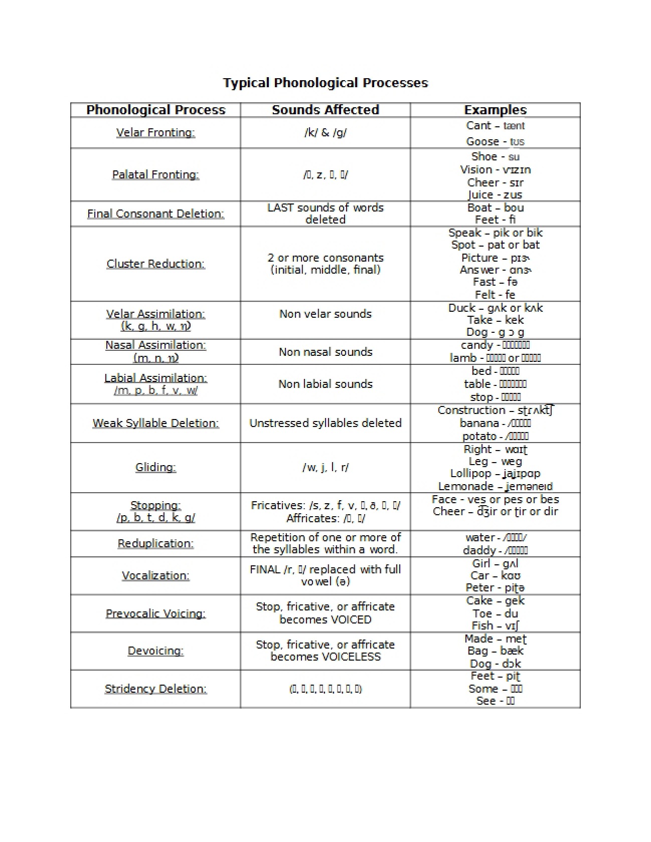 Phonological Processes: Typical Patterns
