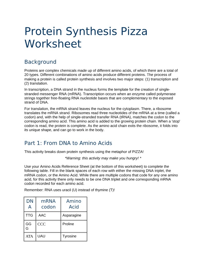 Pizza Worksheet on Protein Synthesis