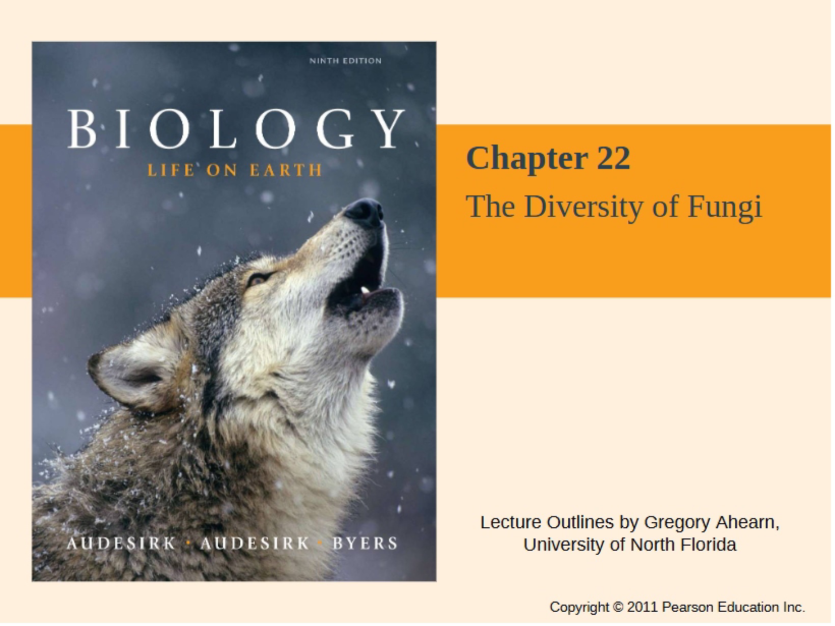 Fungal Diversity (Ch 22)