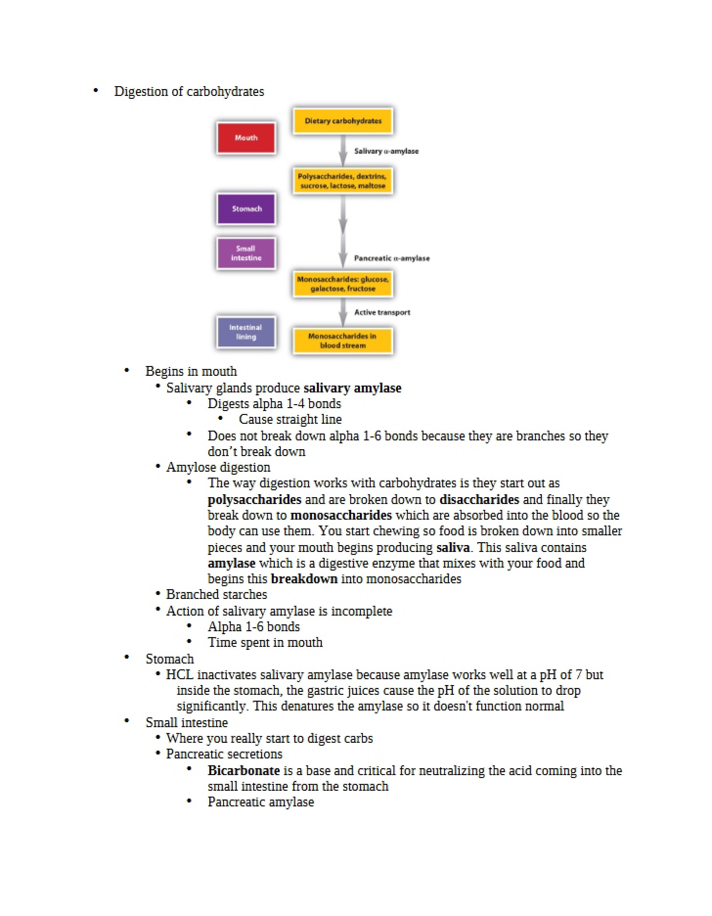 Key Concept Summary