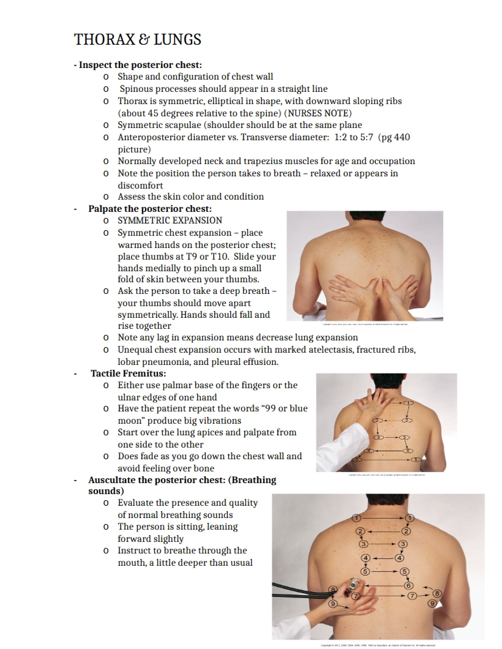 Lungs and Thorax Assessment