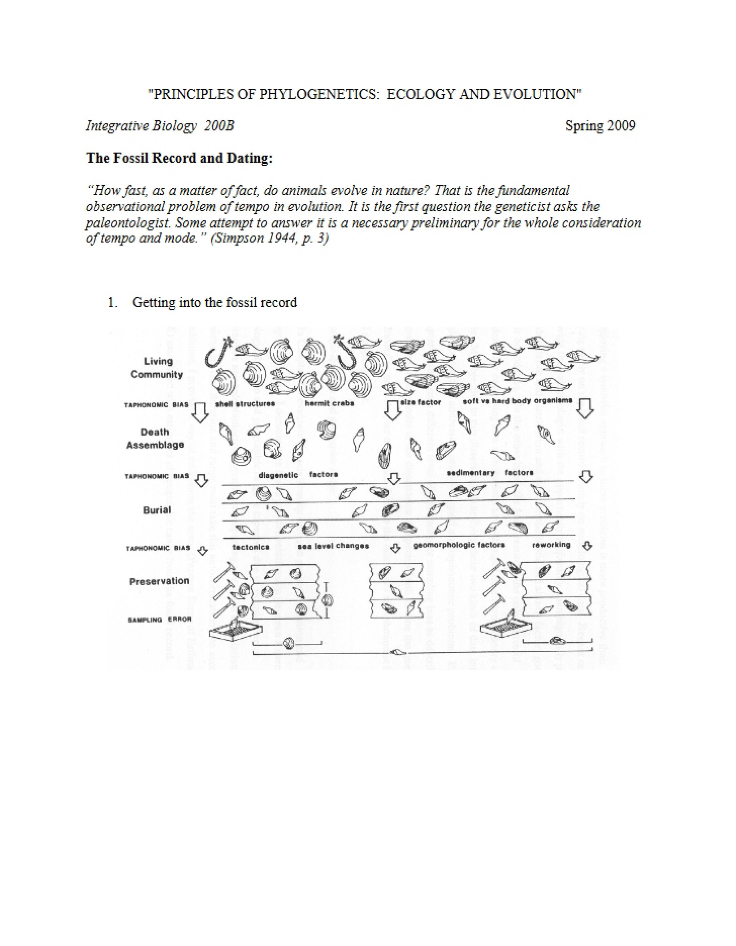 Phylogenetics Principles
