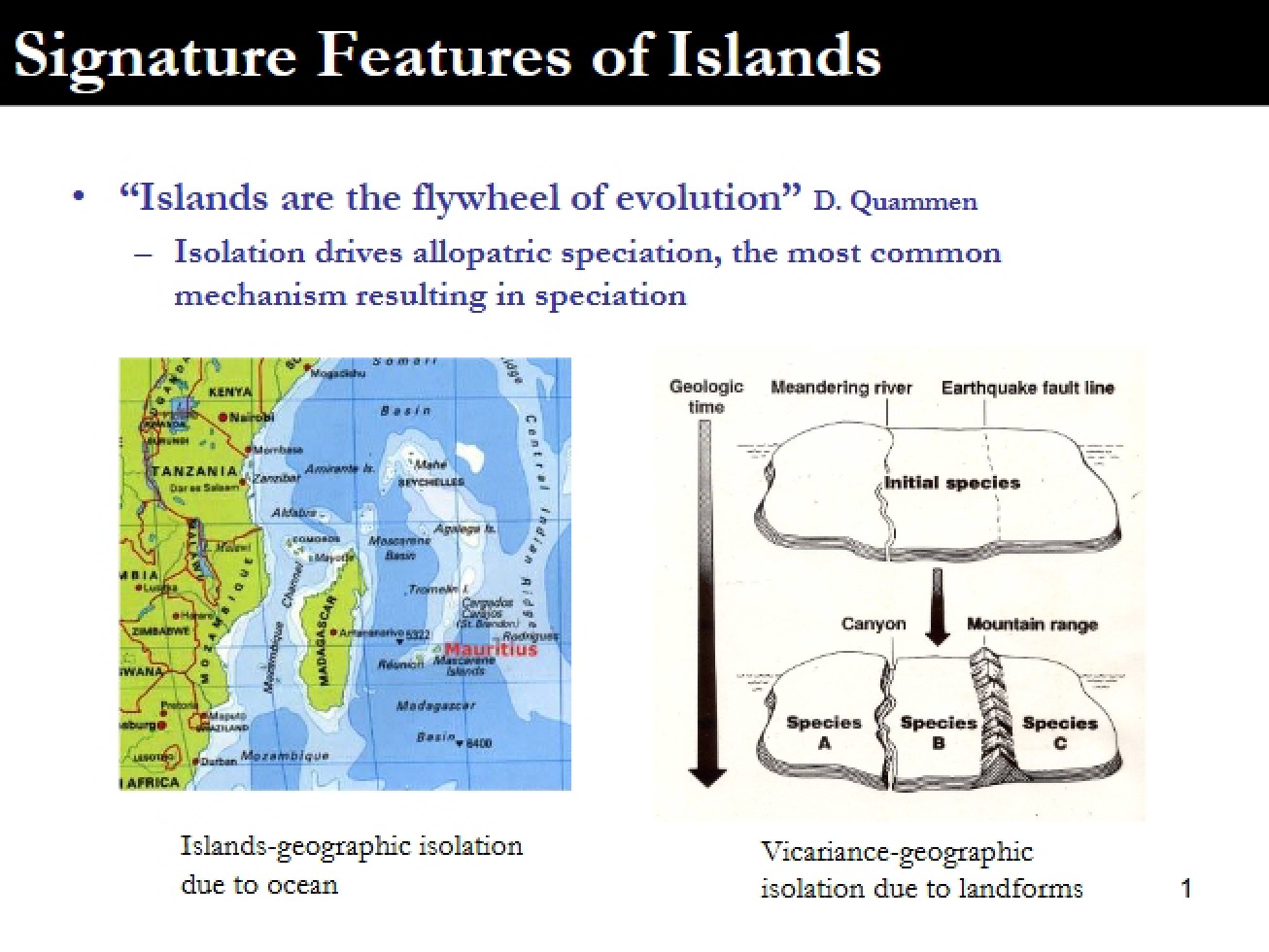 Features of Islands