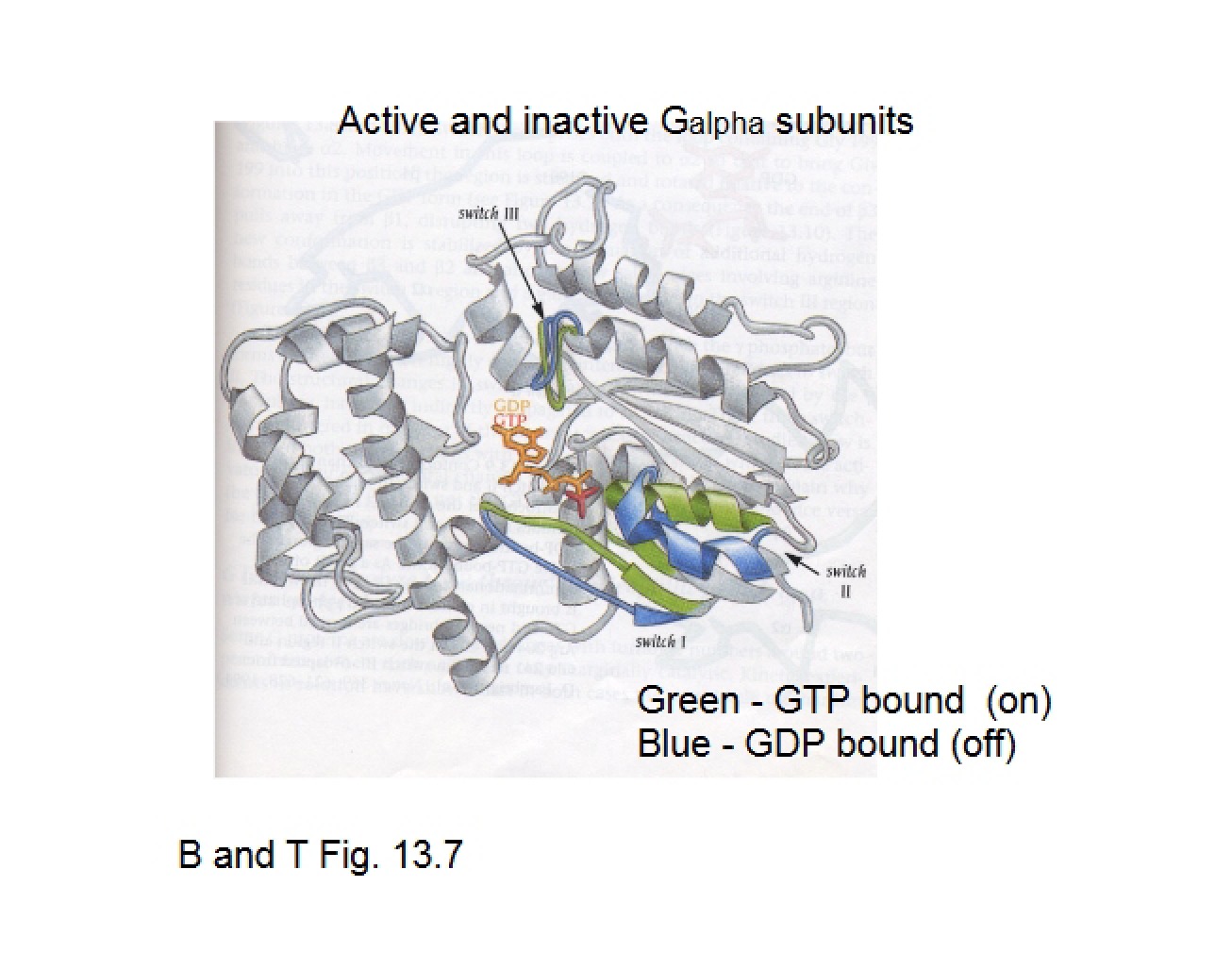 General Lecture on Structural Biochemistry