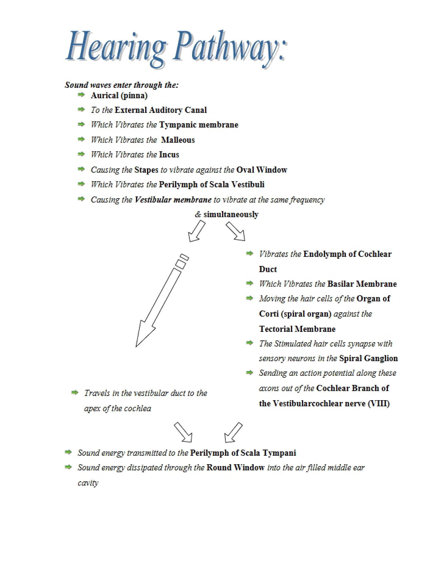 Pathway of Hearing