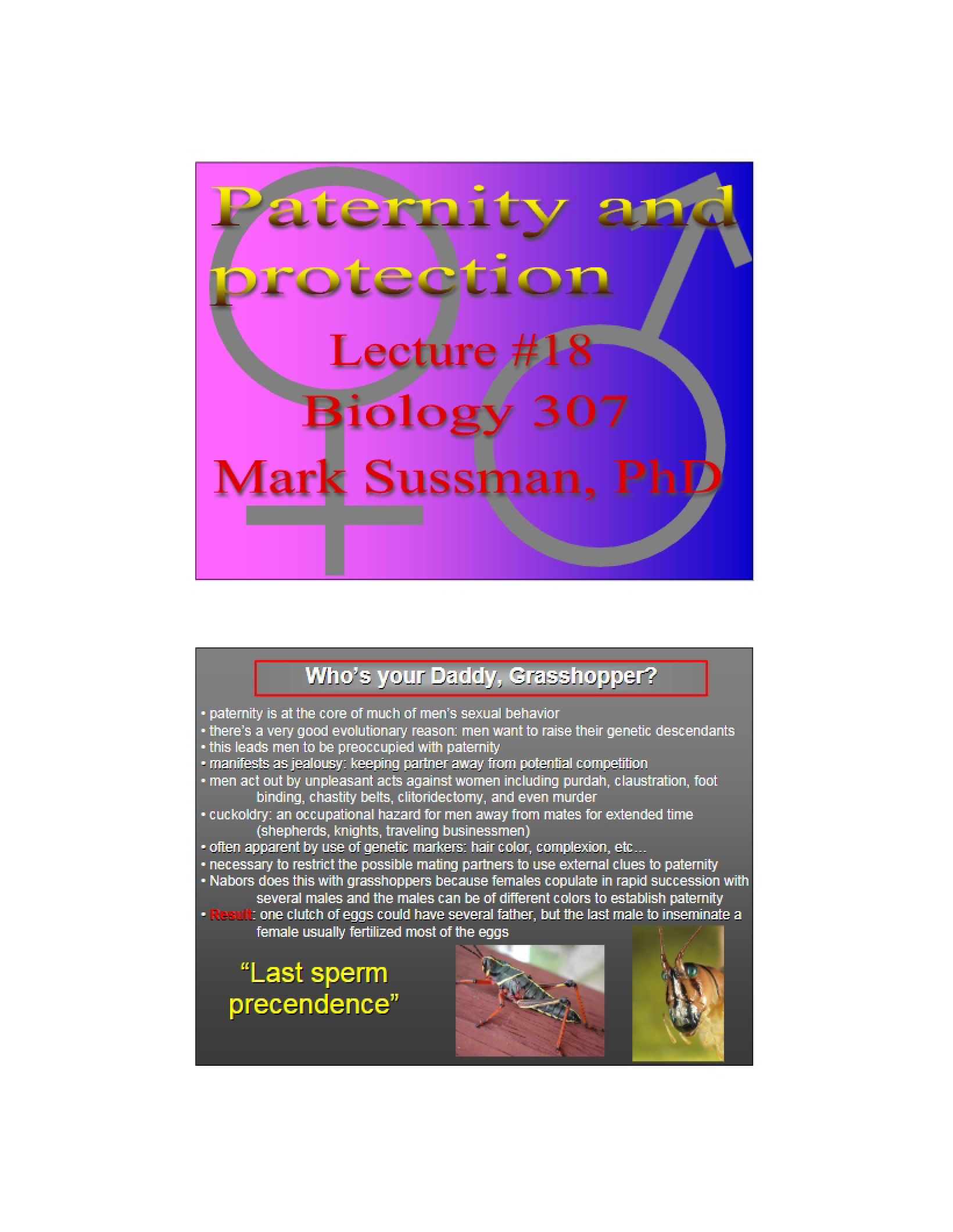 Protection and Paternity