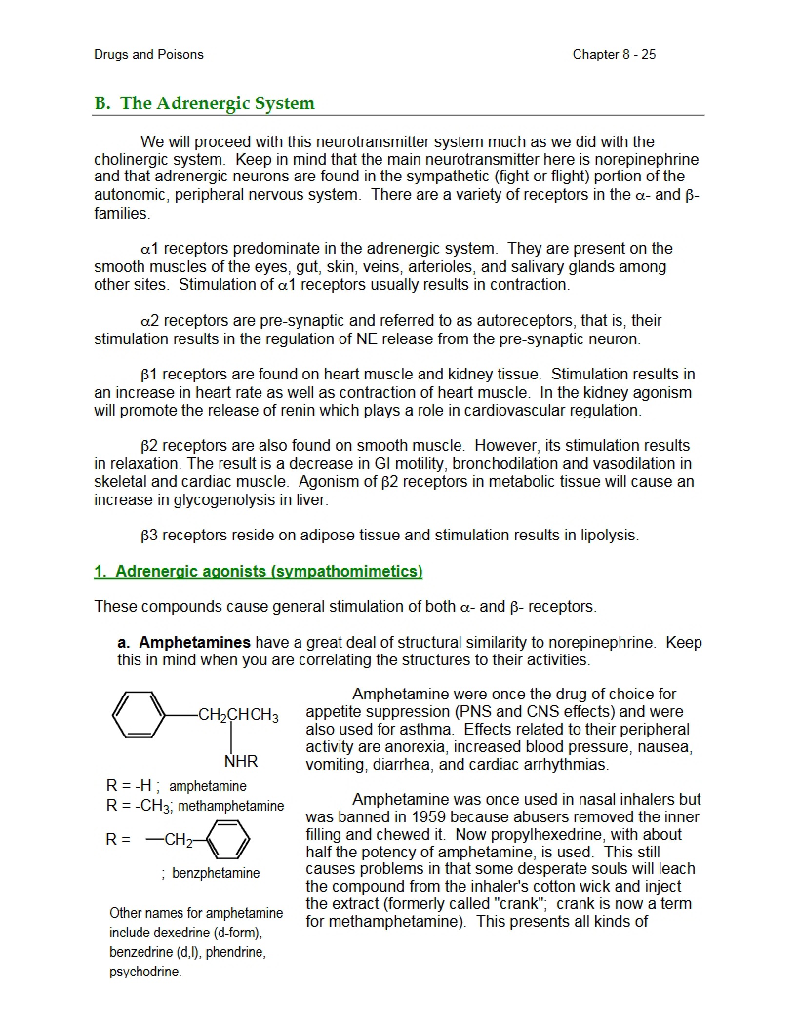 System of Adrenergics