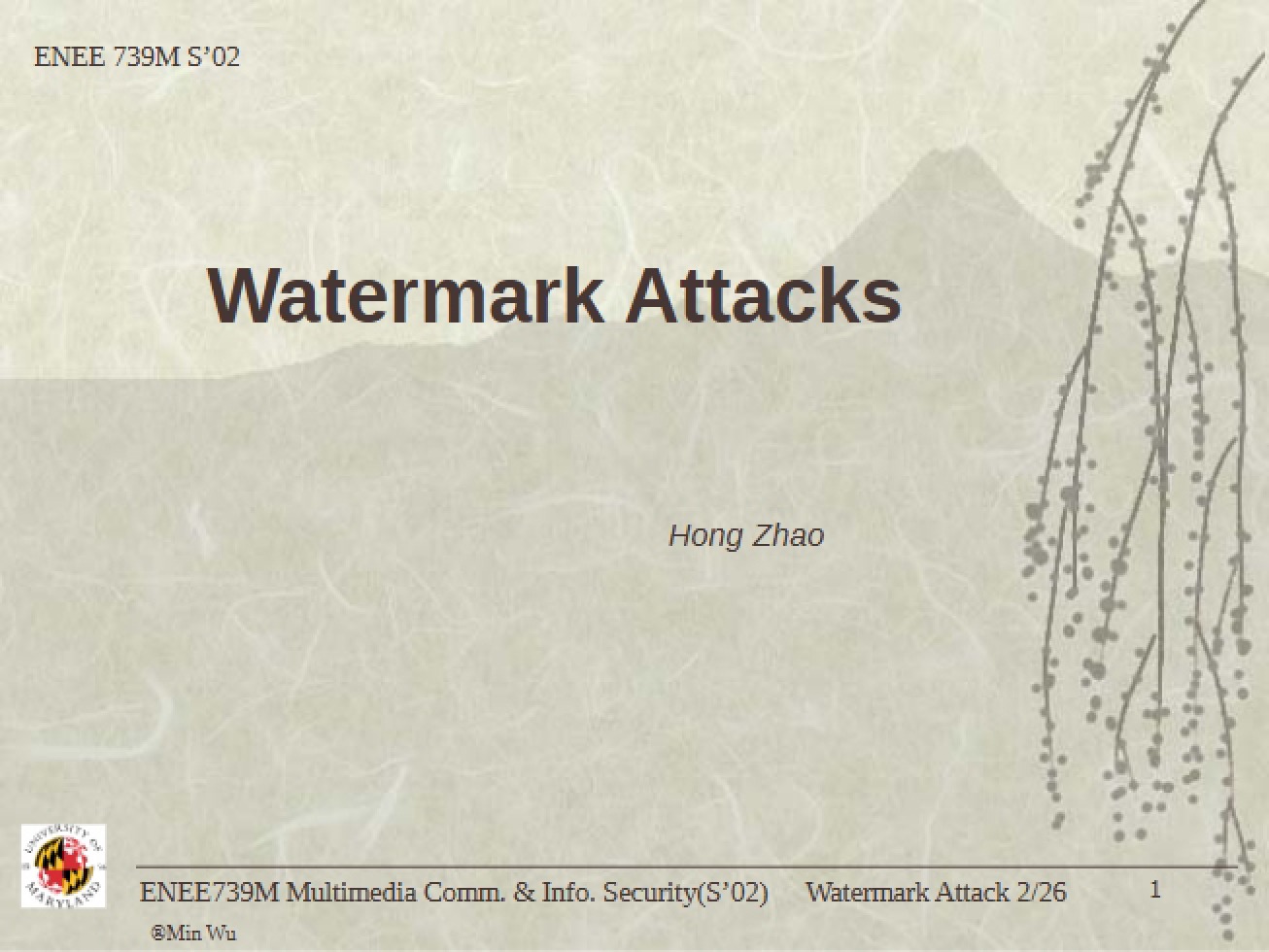 Attacks on Watermarks