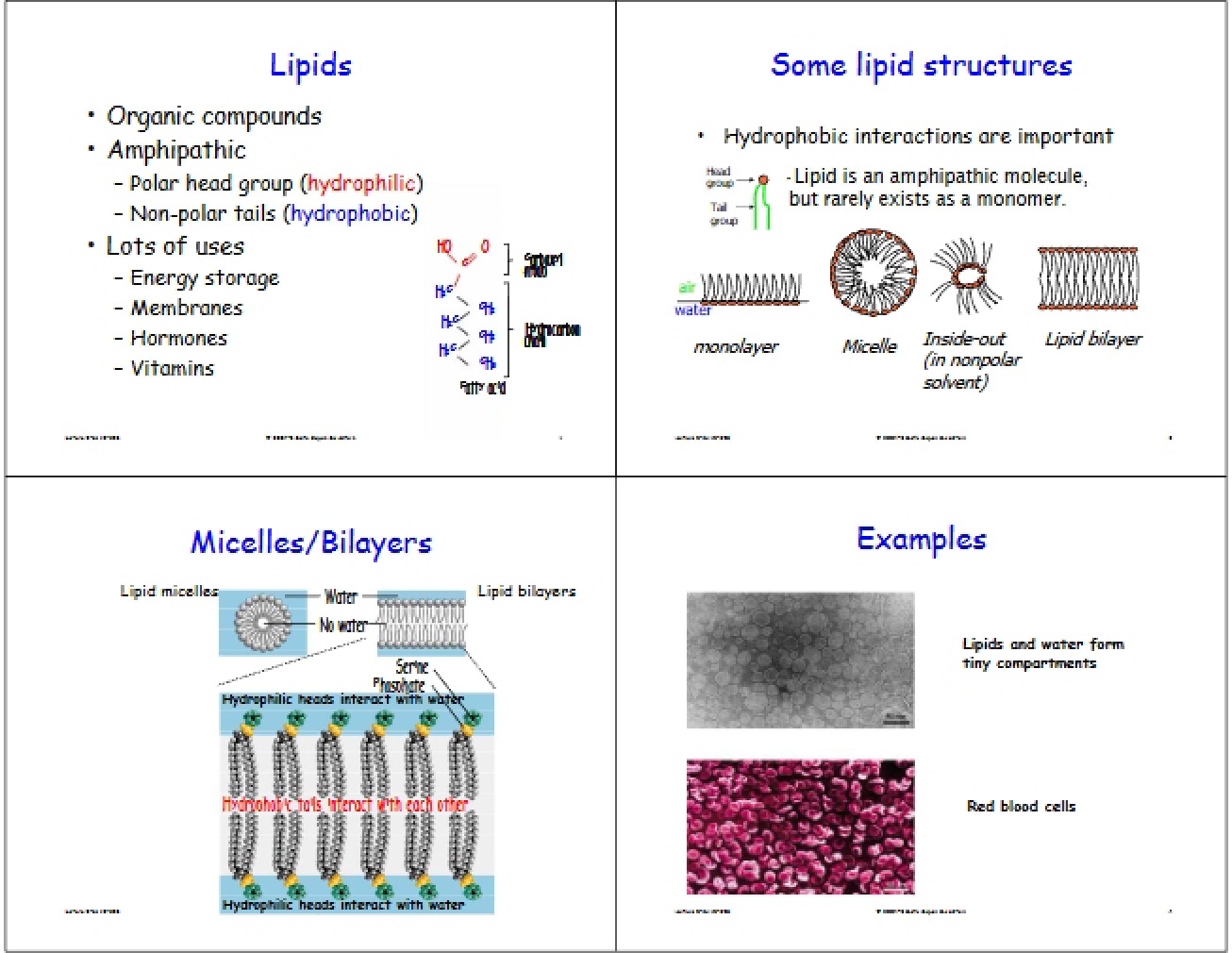Lipid Structures