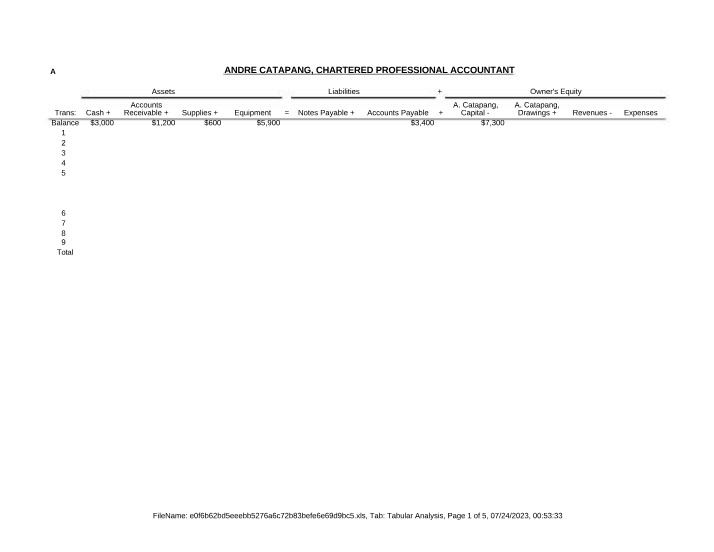 Financial Statements - Andre Catapang