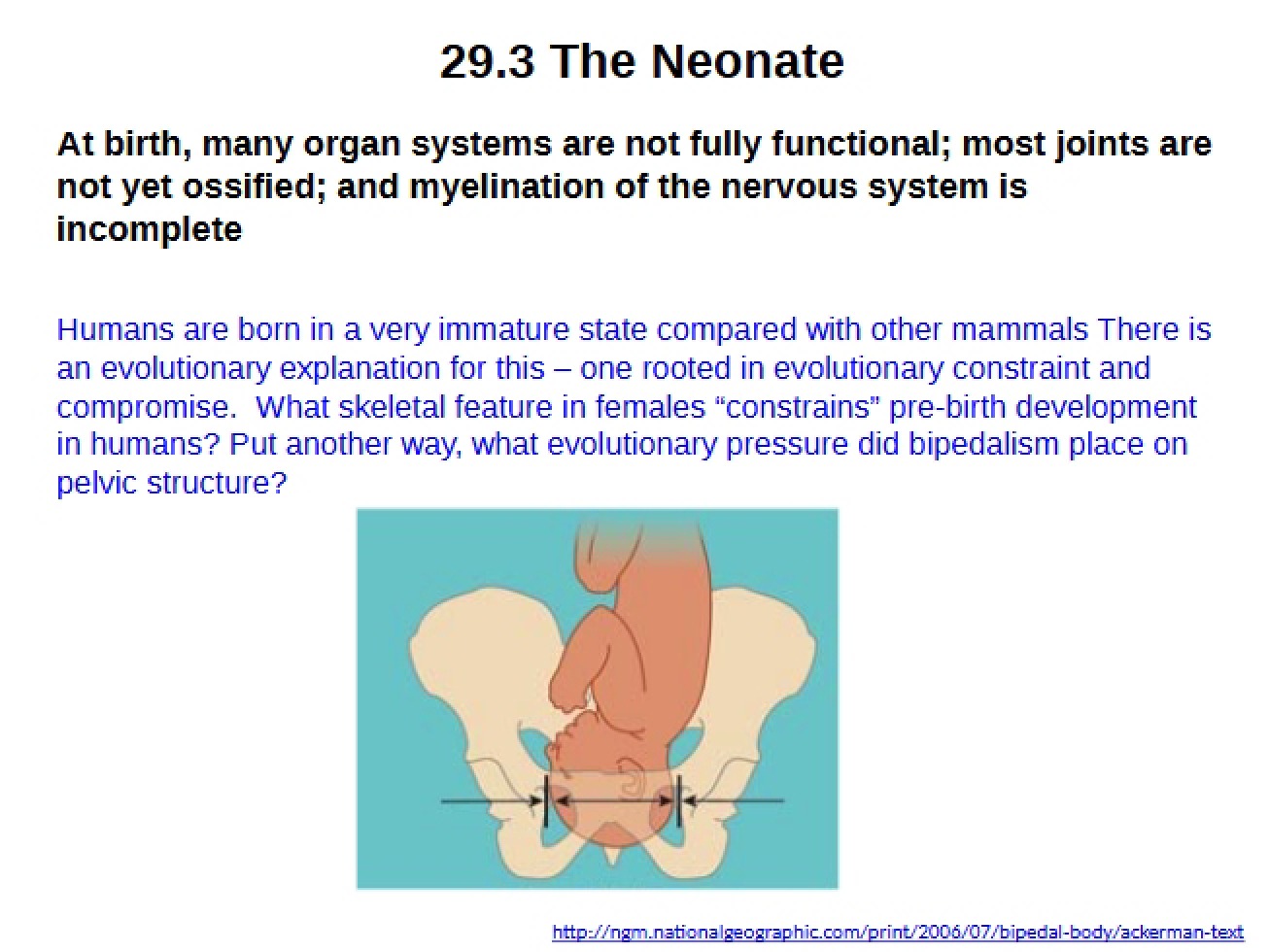 Neonatal Care