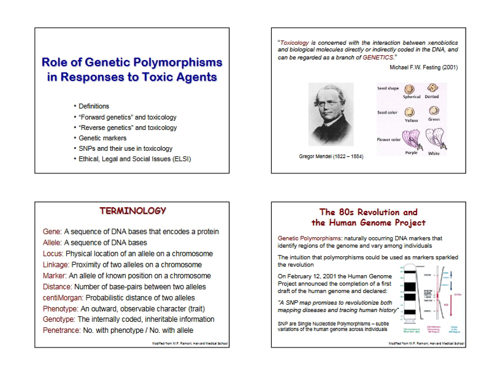Genetic Polymorphisms and Toxic Agent Response