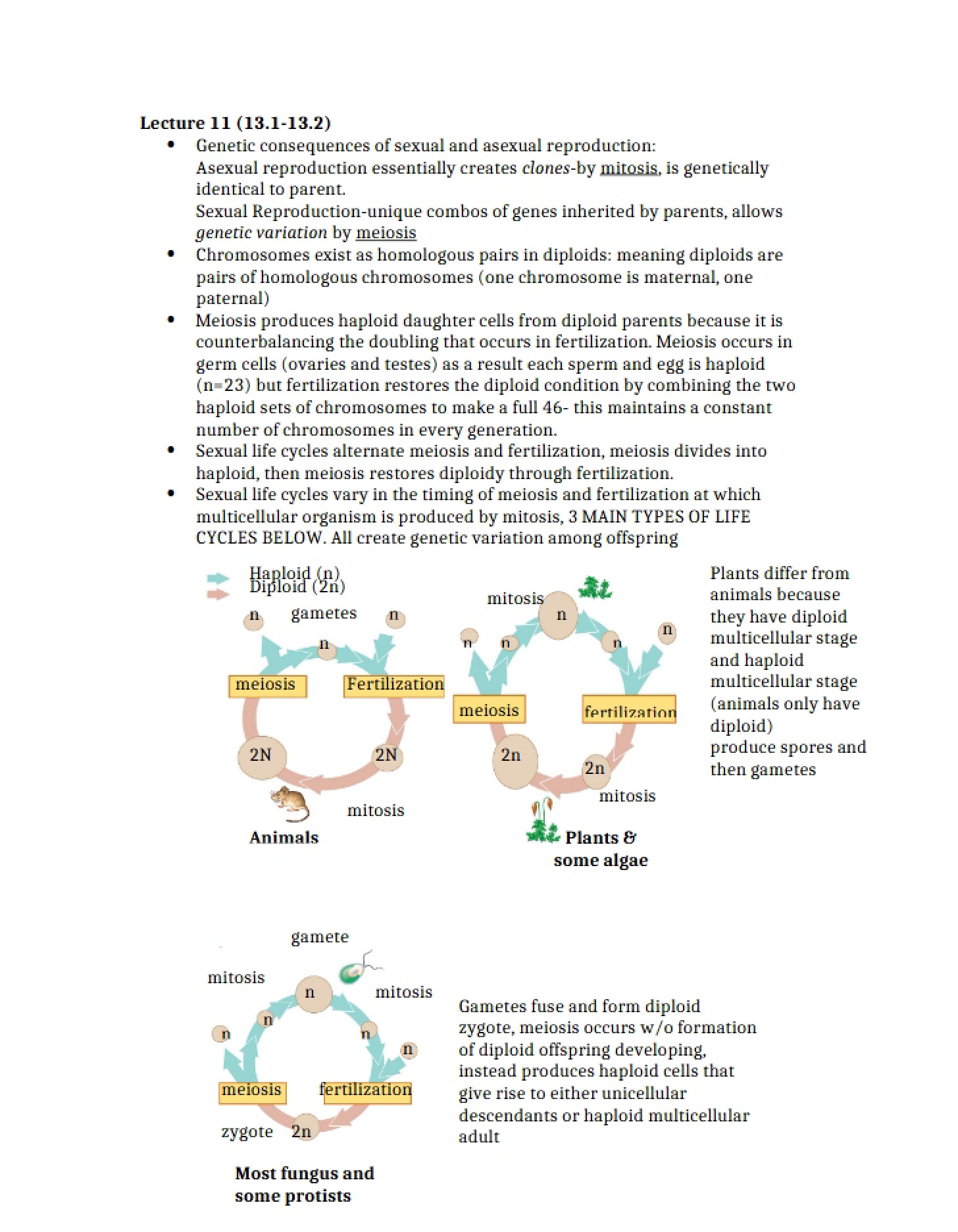 Eleventh Session Overview