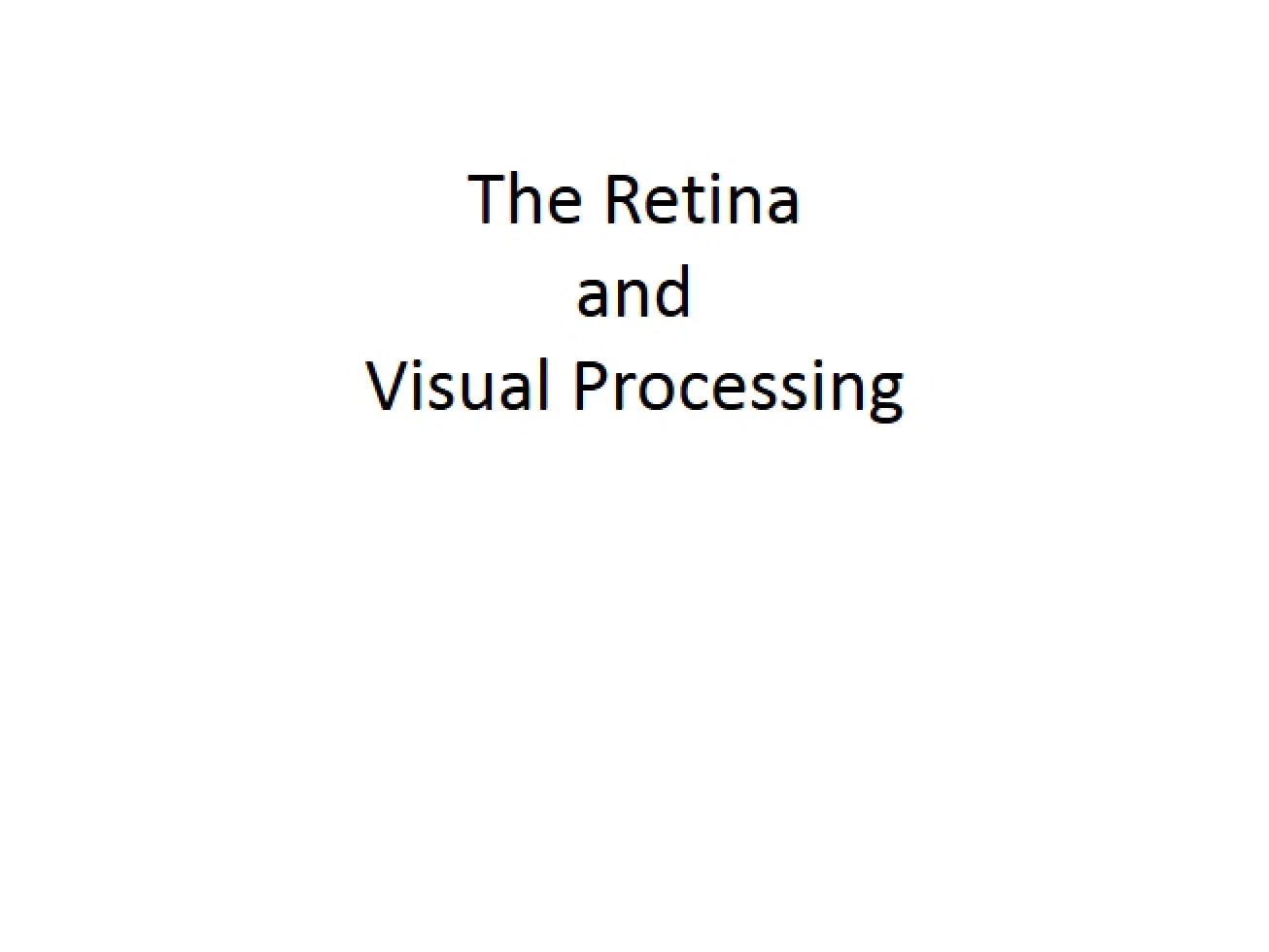 Lecture 17 Visual Processing and the Retina