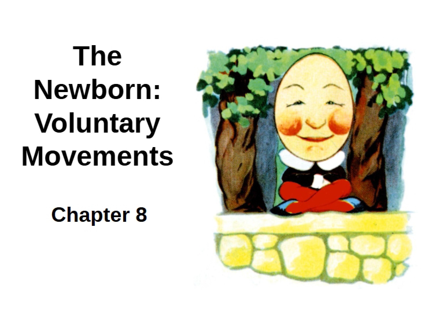 Voluntary Movements in Newborns