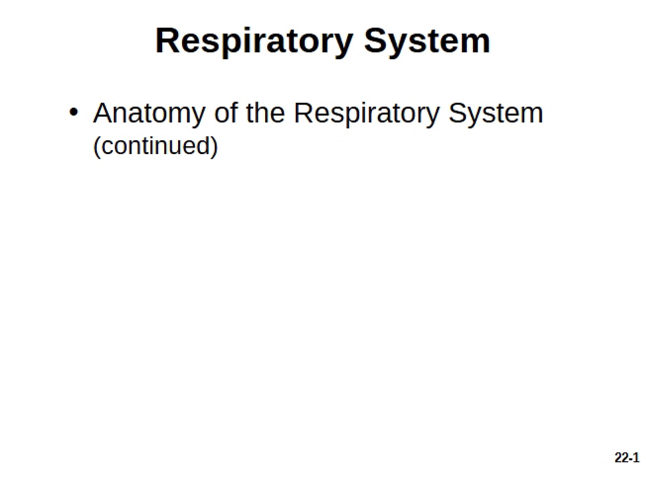 Respiratory System Overview