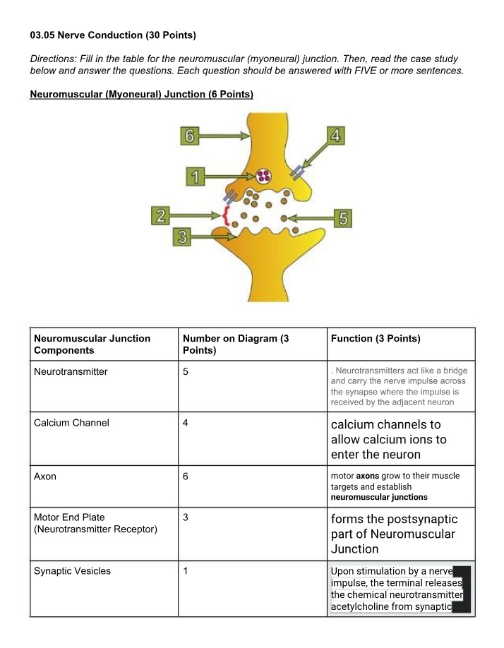 Case Study Questions - Nerve Conduction and Neuromuscular Junction
