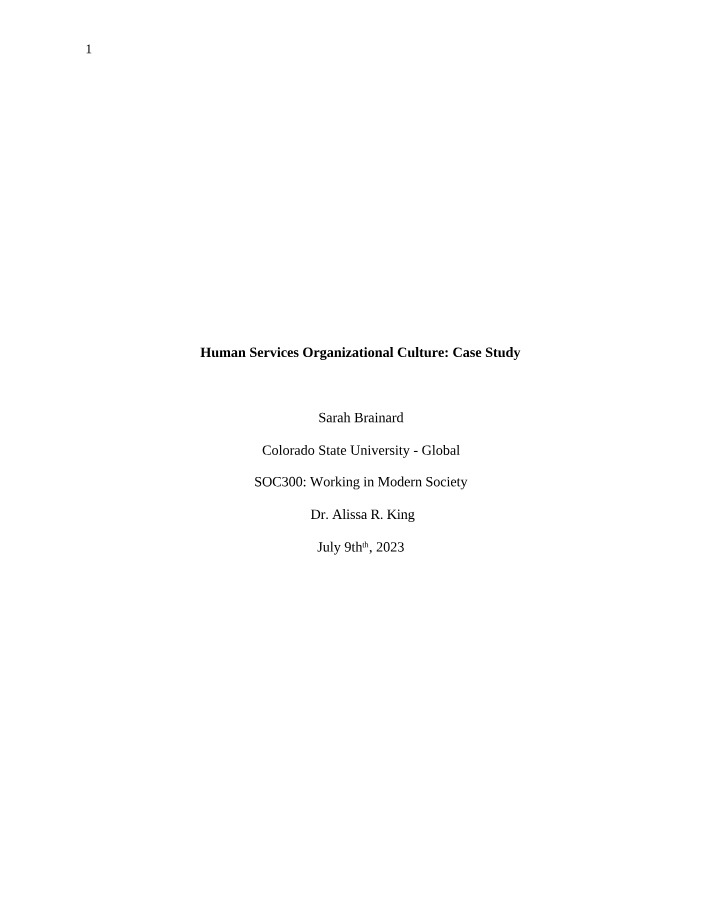 Case Study - Human Services Organizational Culture