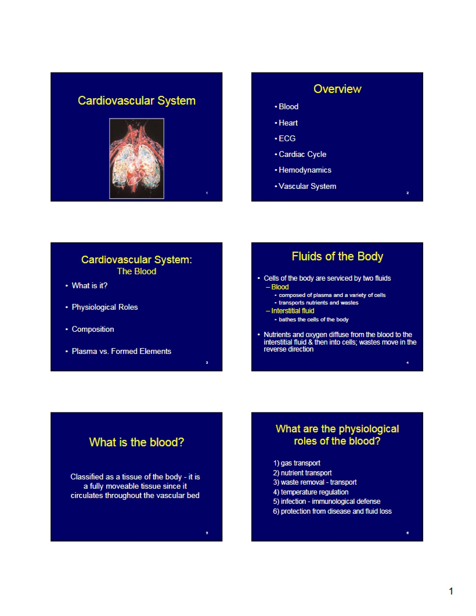 Cardiovascular and Blood Systems