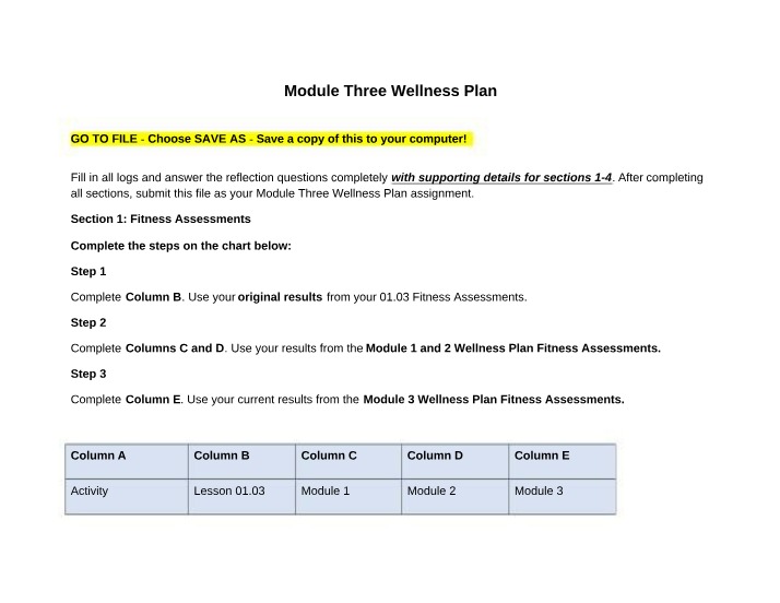 Wellness Plan for Module Three