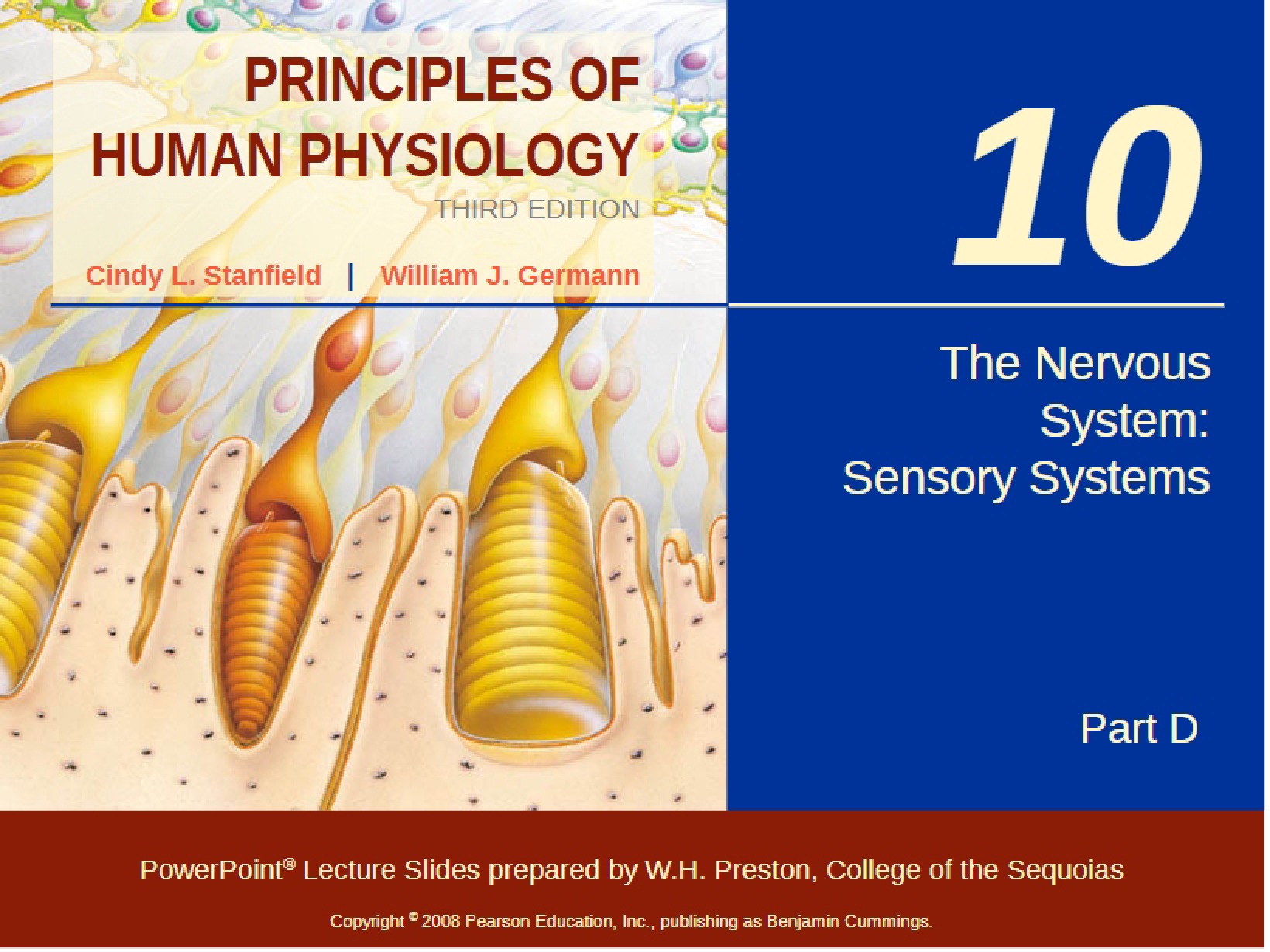 Part 2 Sensory Systems
