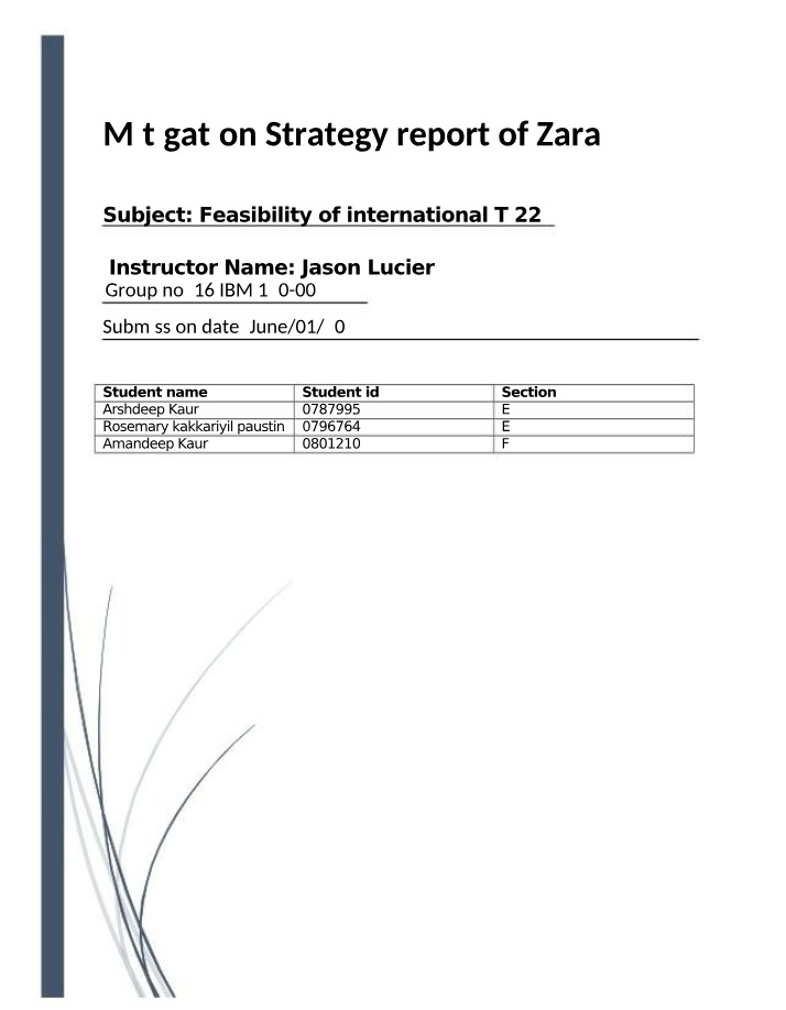 Zara Mitigation Strategy Report