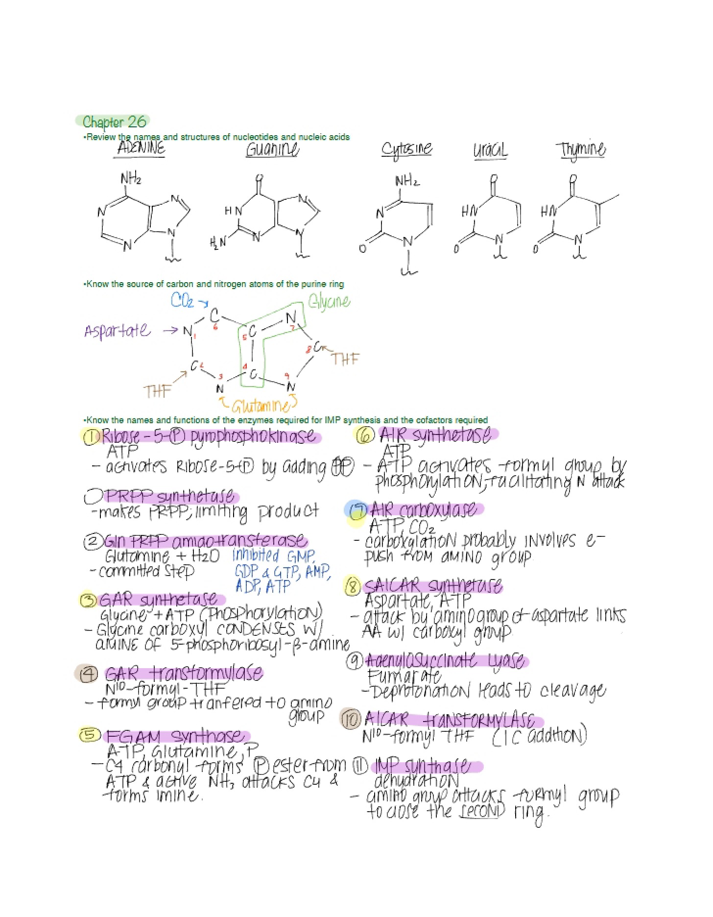 Module Twenty-Six Subject Breakdown