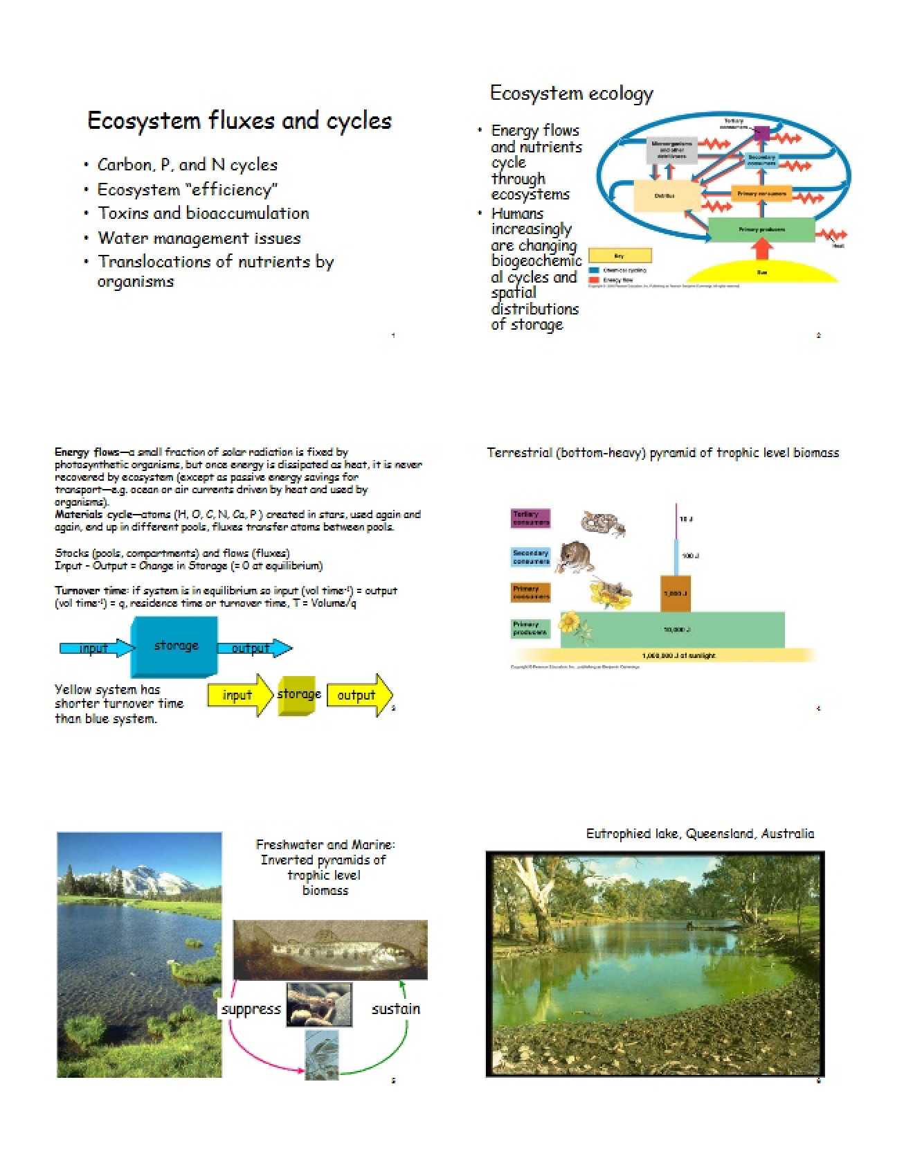 Cycles and Fluxes in Ecosystems