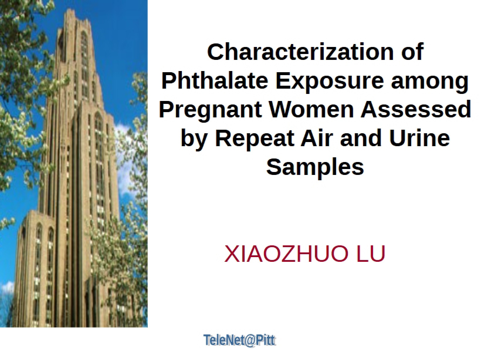 Exposure Characterization Phthalates
