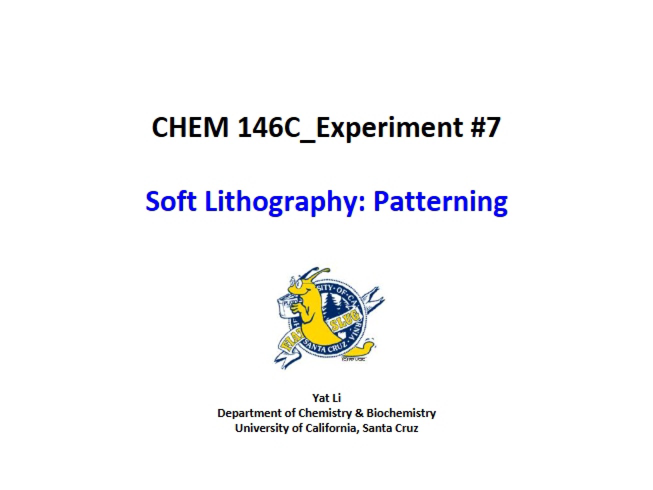 Techniques in Soft Lithography