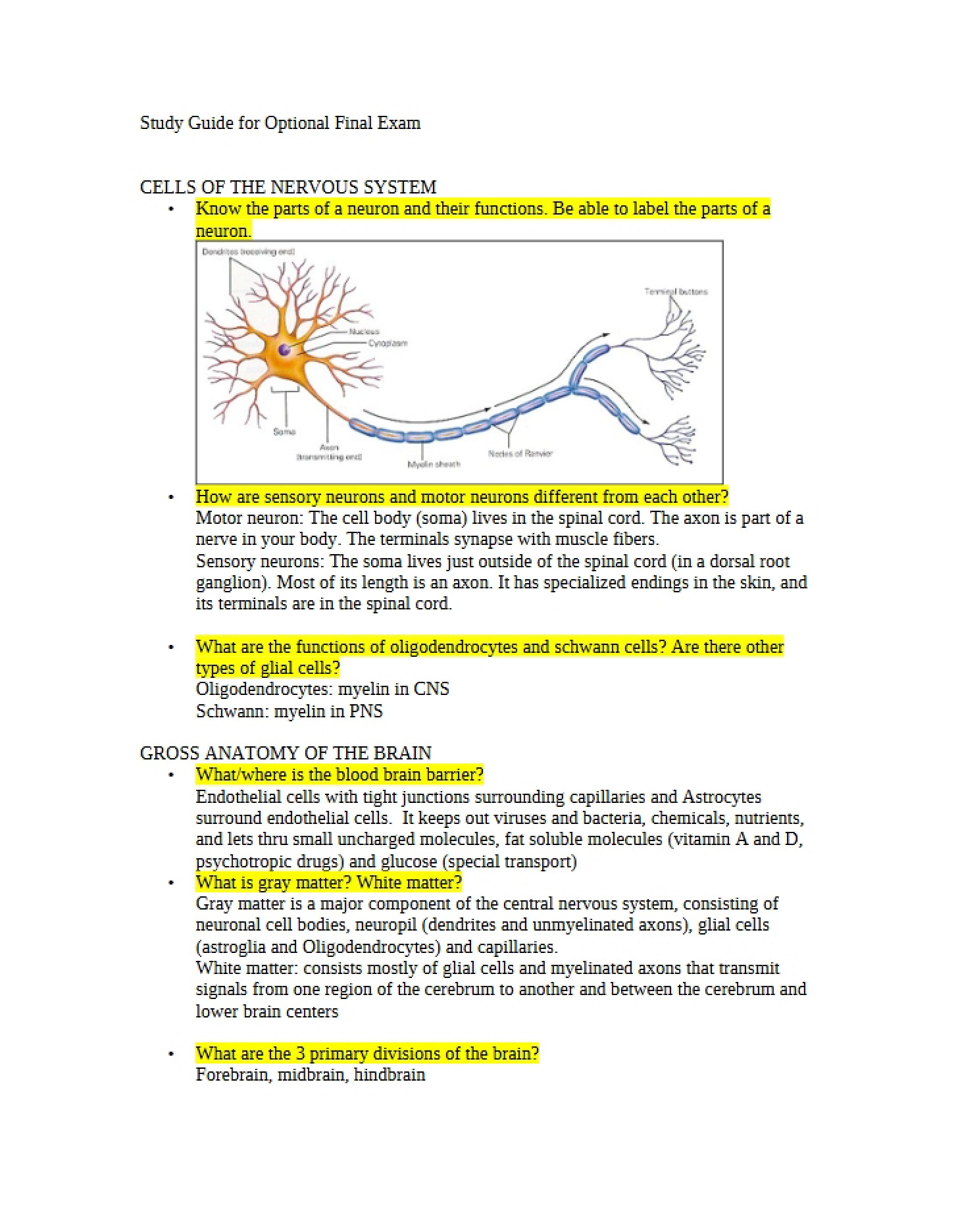Guide for Optional Final