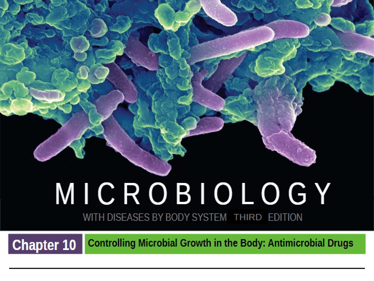 Notes on Microbiology Chapter 10