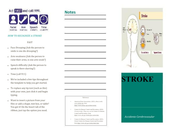 Stroke Information (English)