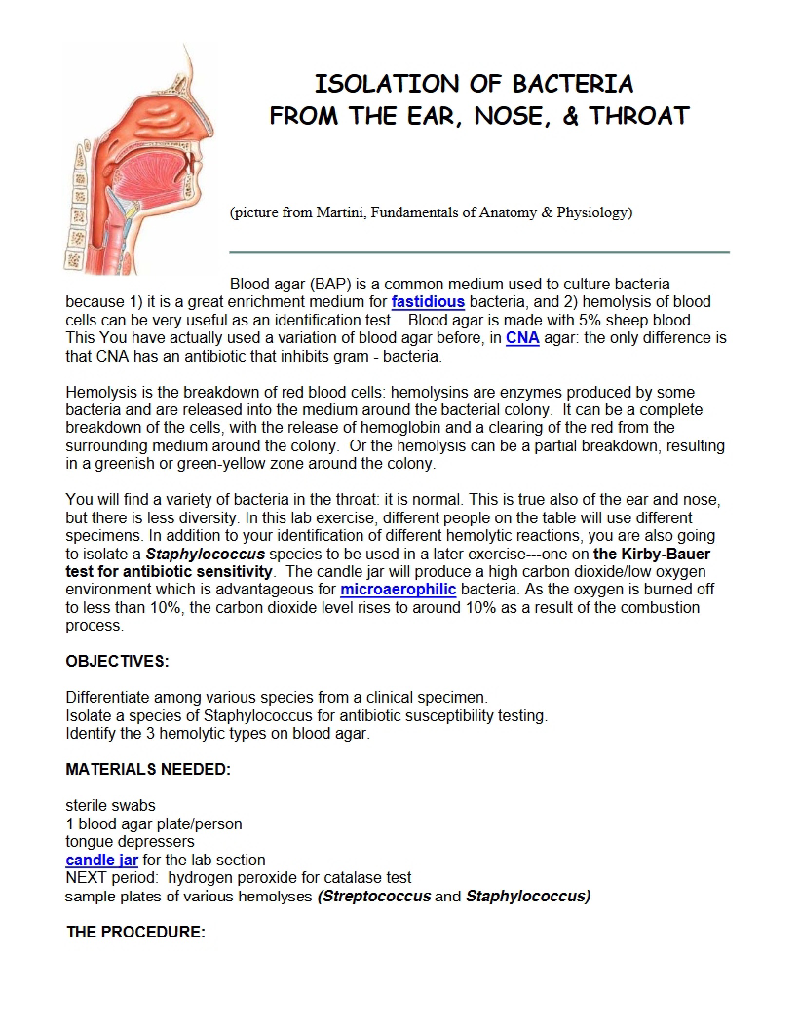 Isolation of Bacteria from Ear, Nose, and Throat Samples
