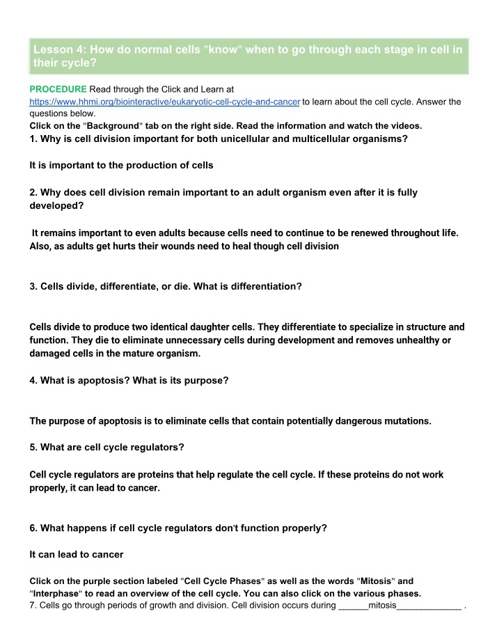 Lesson 4 Student Activity Sheet