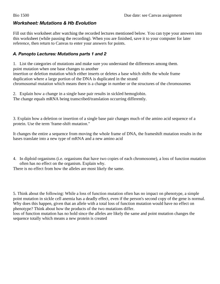 Mutations and Hb Evolution Worksheet