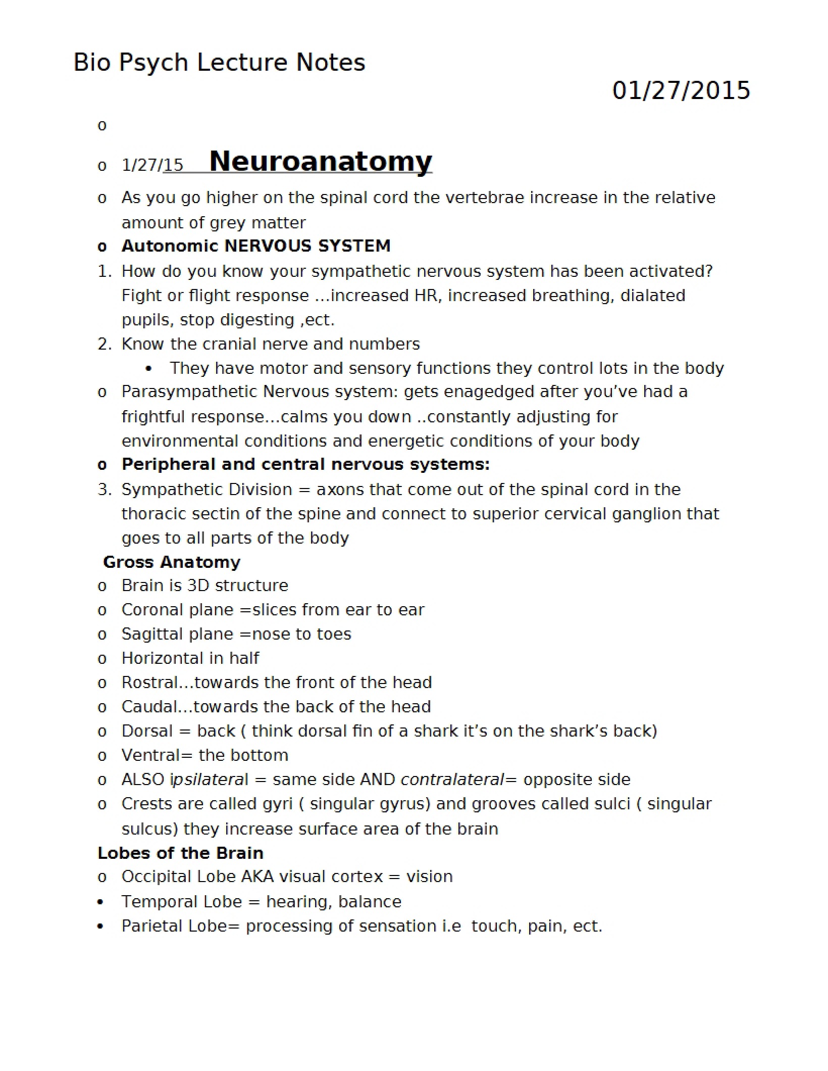Neuroanatomy Overview
