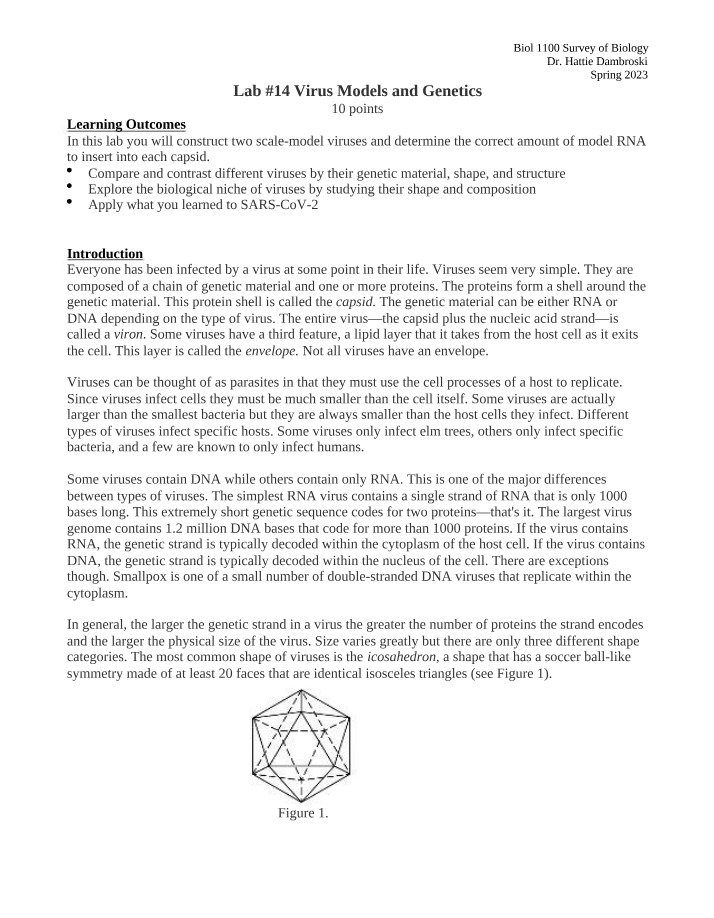 Lab Report on Virus Models and Genetics