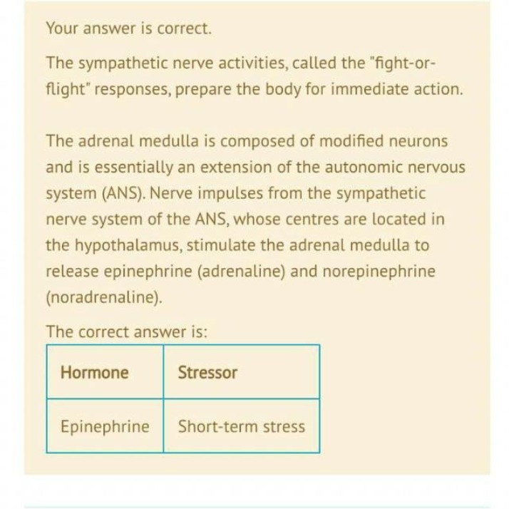 Fight-or-Flight Response - The Role of Epinephrine