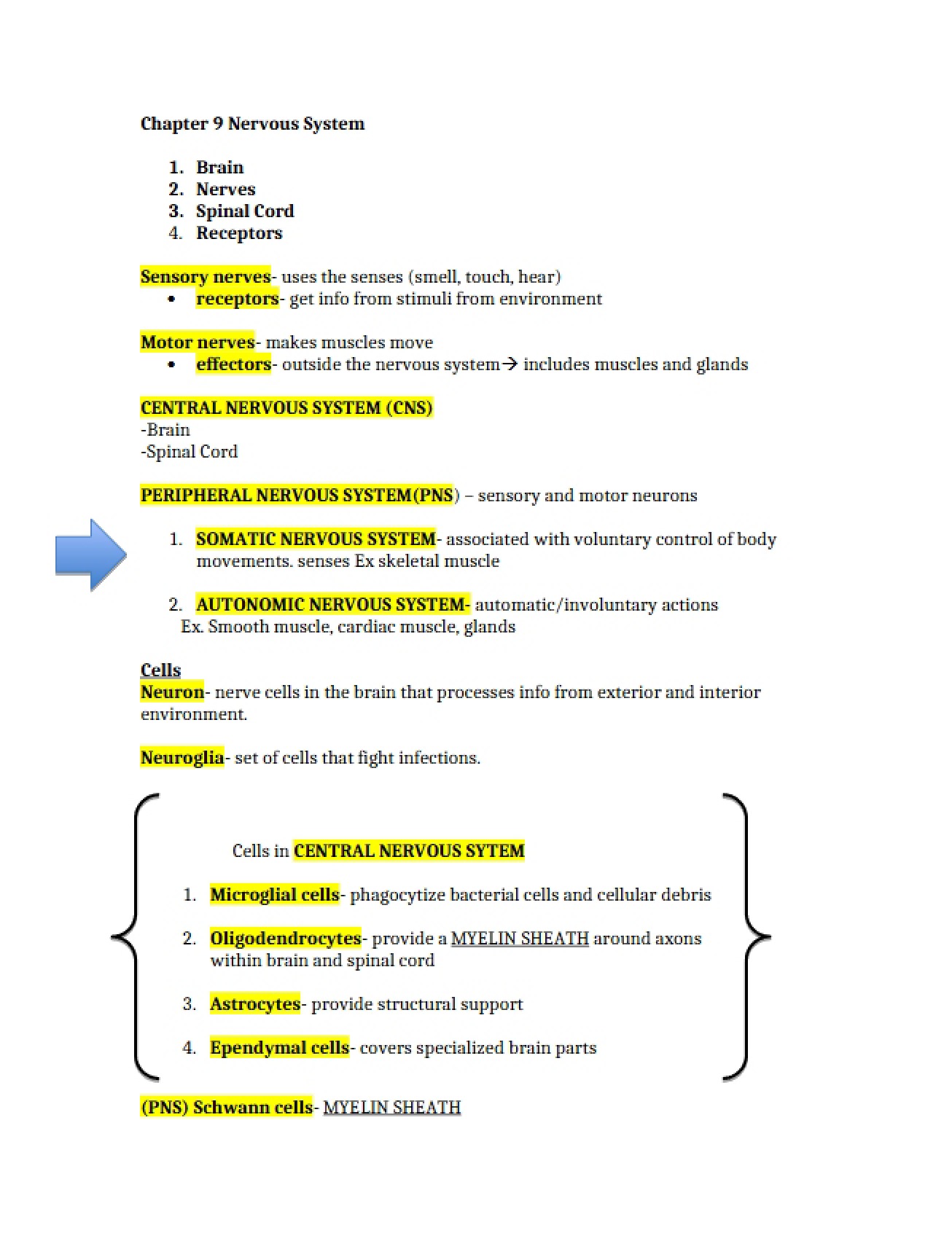 System of Nerves (Ch 9)