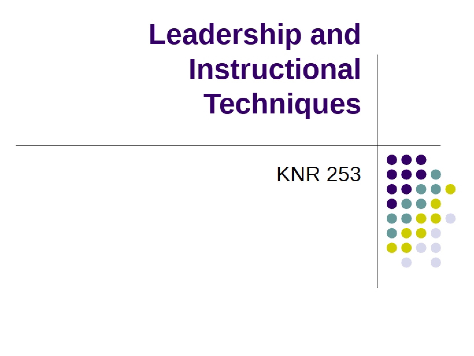 Instructional and Leadership Techniques