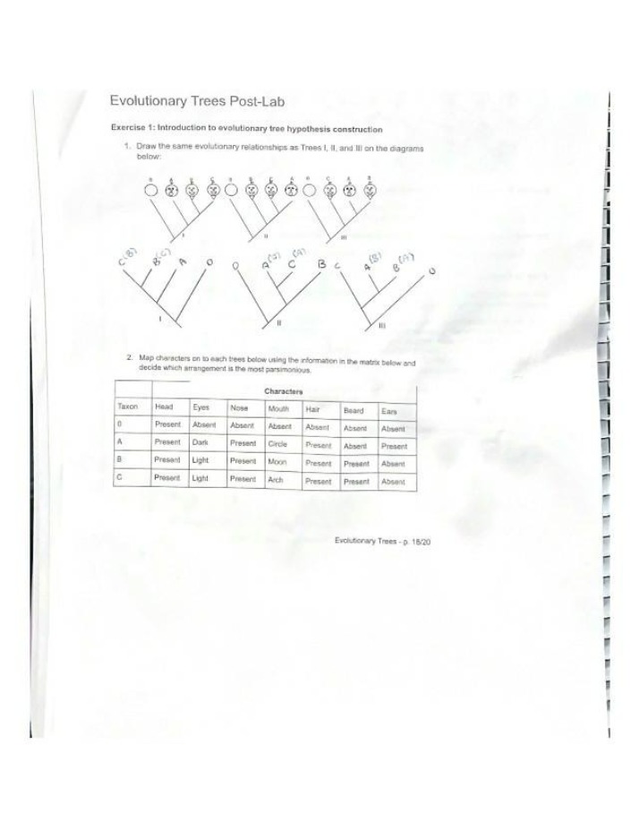 Post-Lab for Evolutionary Trees