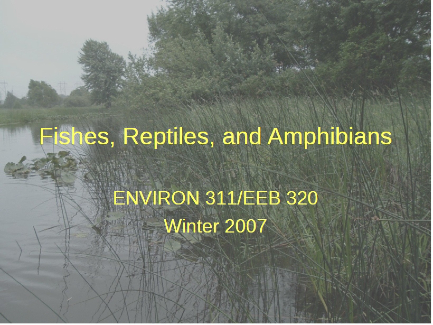 Amphibians, Reptiles, and Fishes