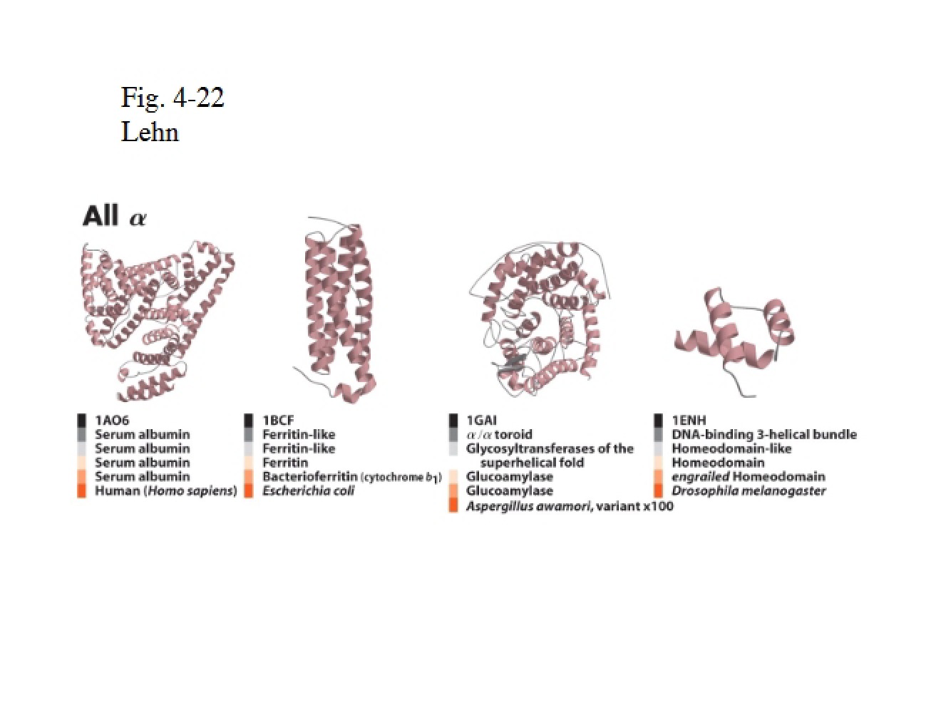 Course Lecture on Structural Biochemistry