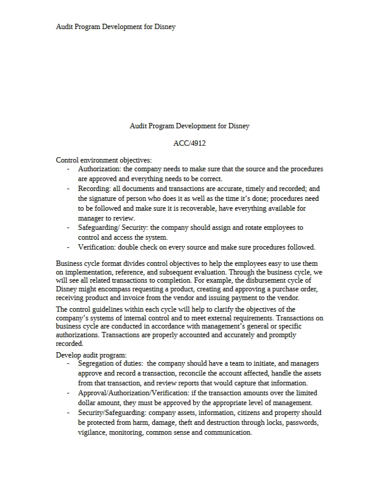 Disney Audit Program Development