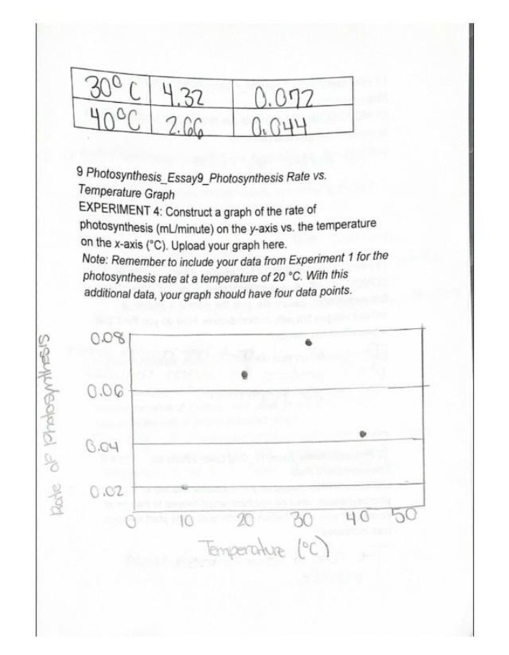 Photosynthesis Rate vs Temperature Graph - Essay 9